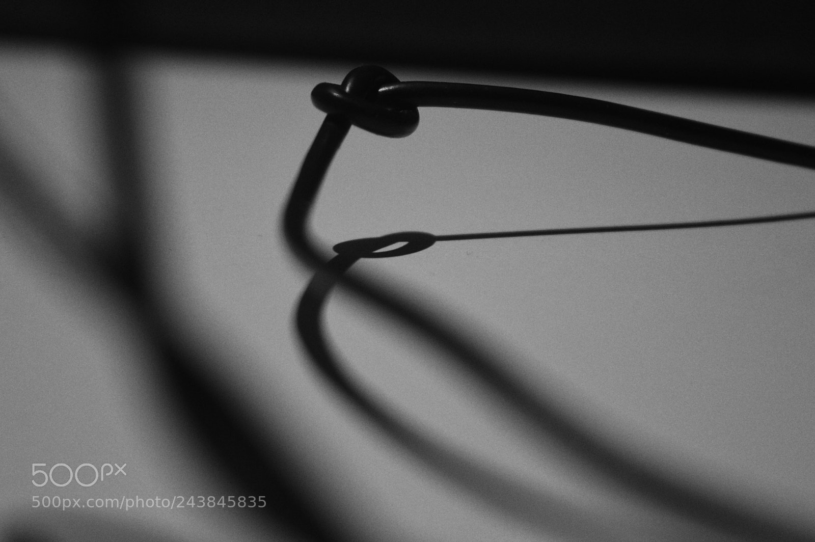 Nikon D3200 sample photo. Untitled image photography