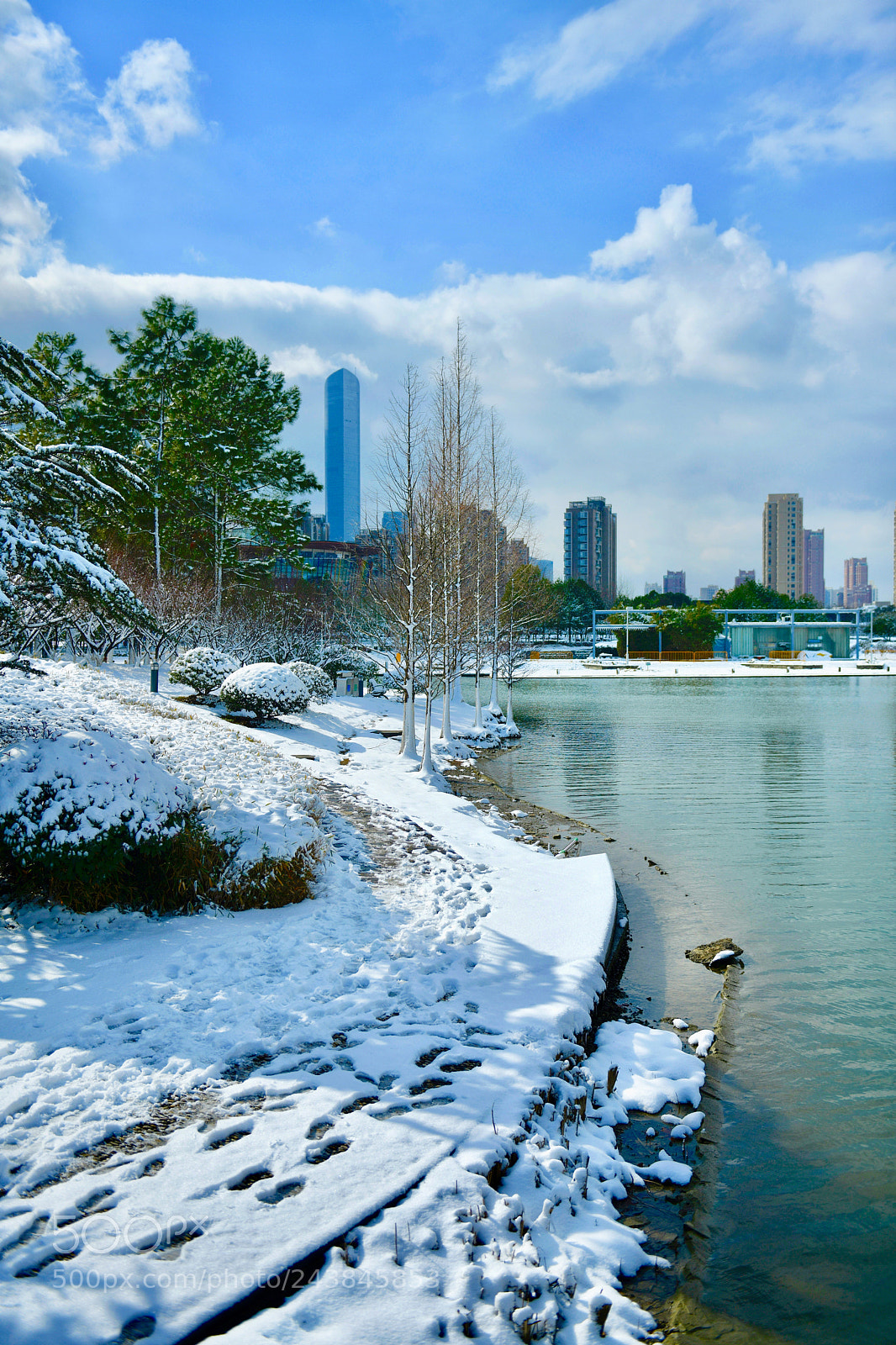 Nikon D850 sample photo. Snow photography