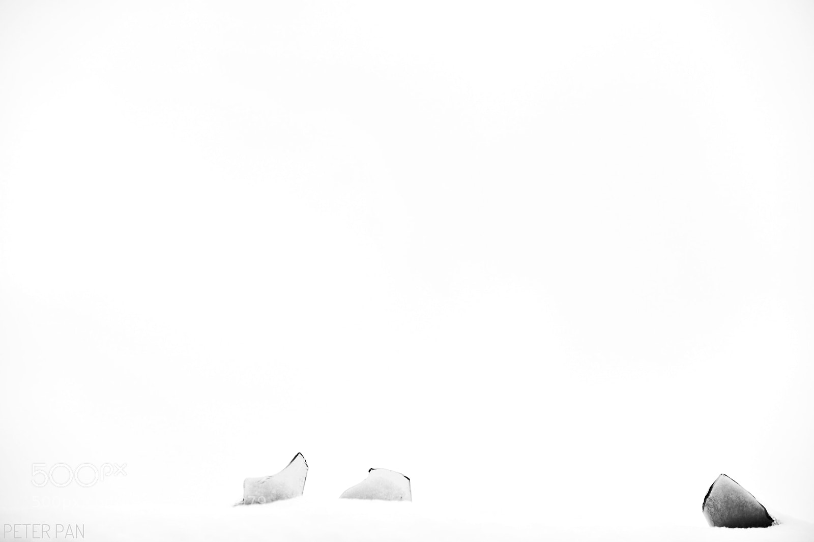 Nikon D810 sample photo. …… photography