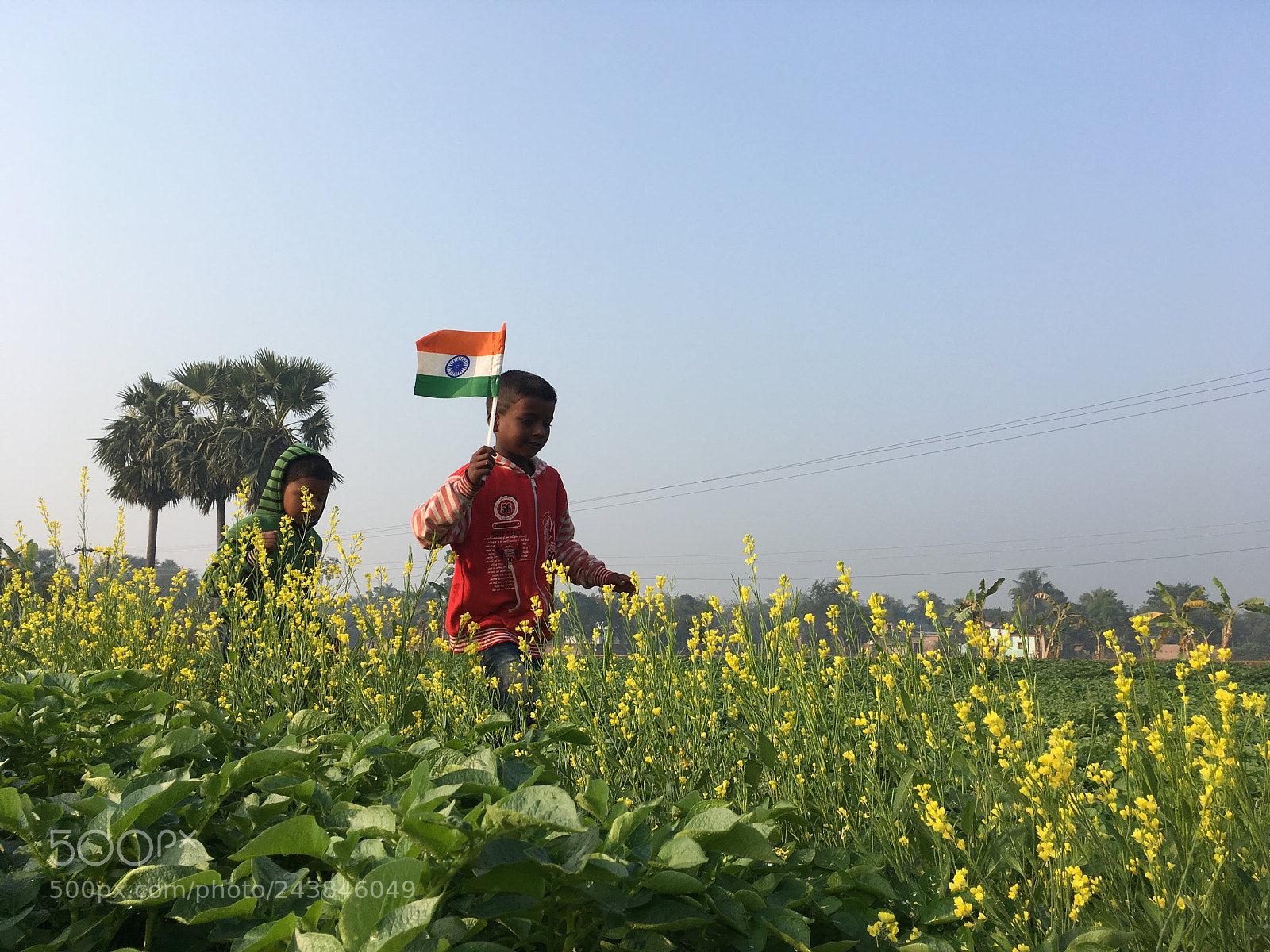 Apple iPhone SE sample photo. Happy republic day, india photography
