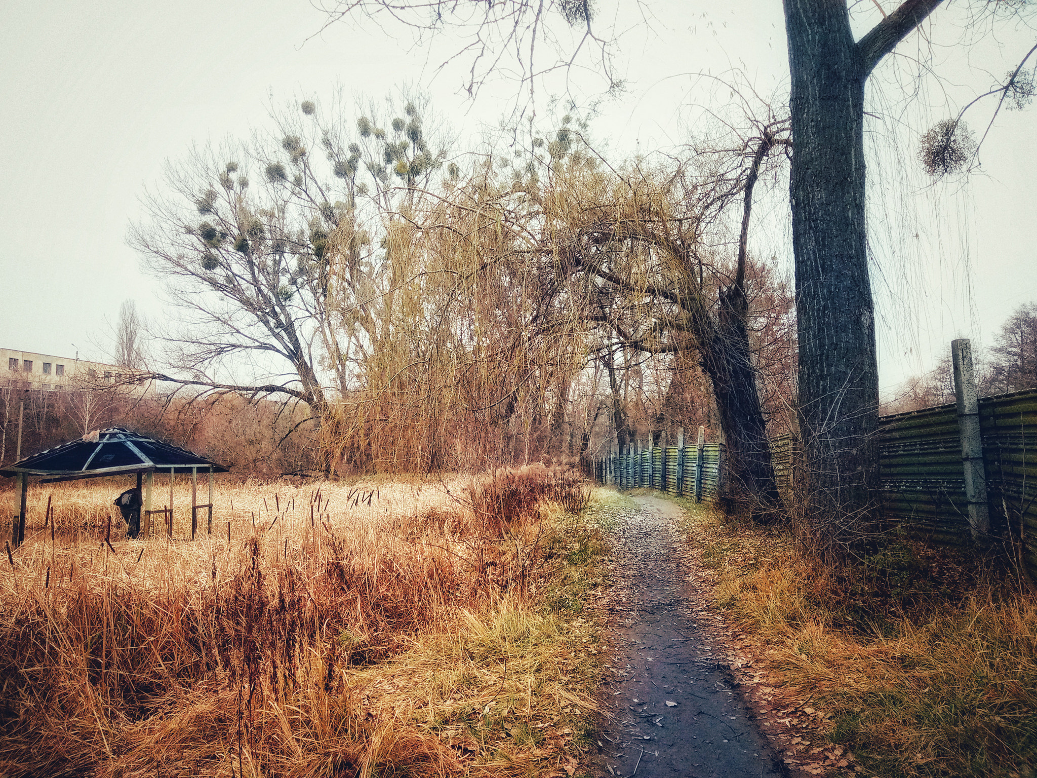 Meizu U20 sample photo