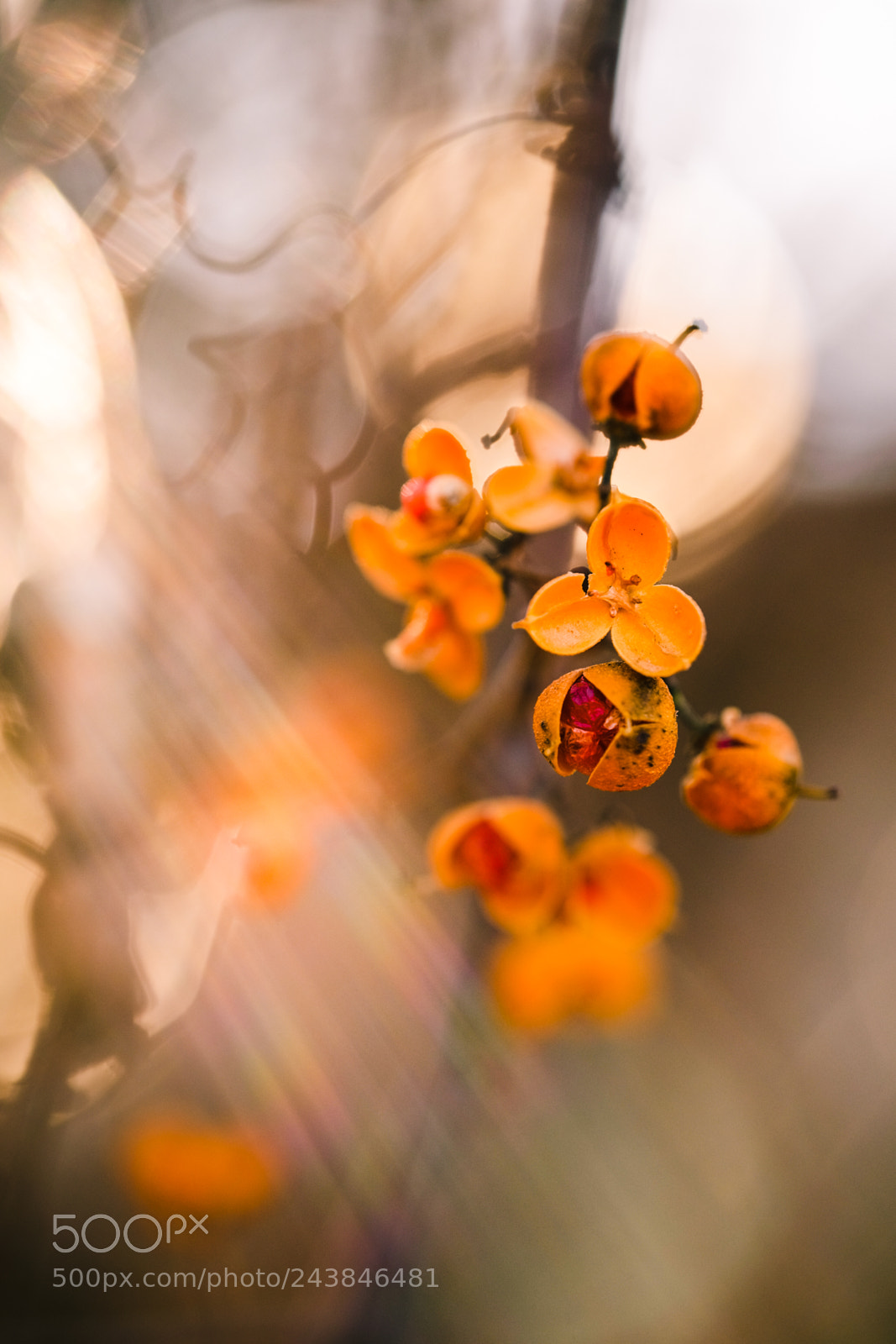Fujifilm X-T1 sample photo. Painted with lights. photography
