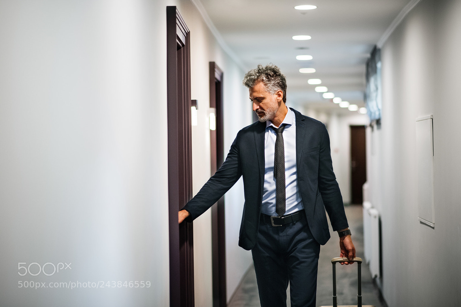 Nikon D5 sample photo. Mature businessman with luggage photography