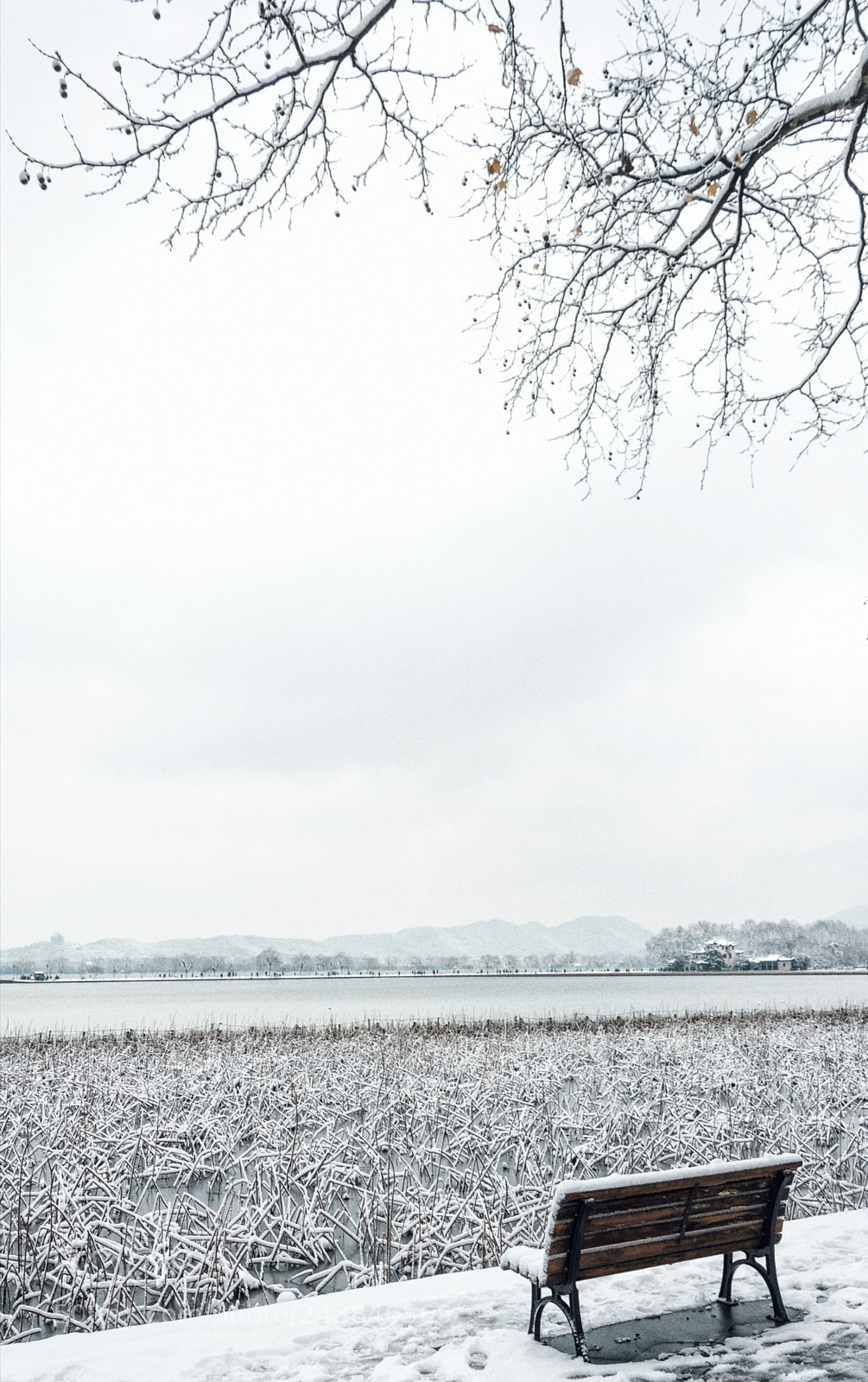 Nikon D7100 sample photo. Snow photography