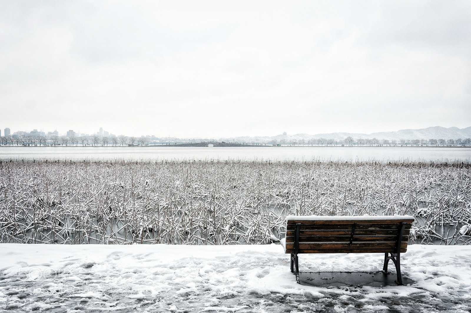 Nikon D7100 sample photo. Snow photography