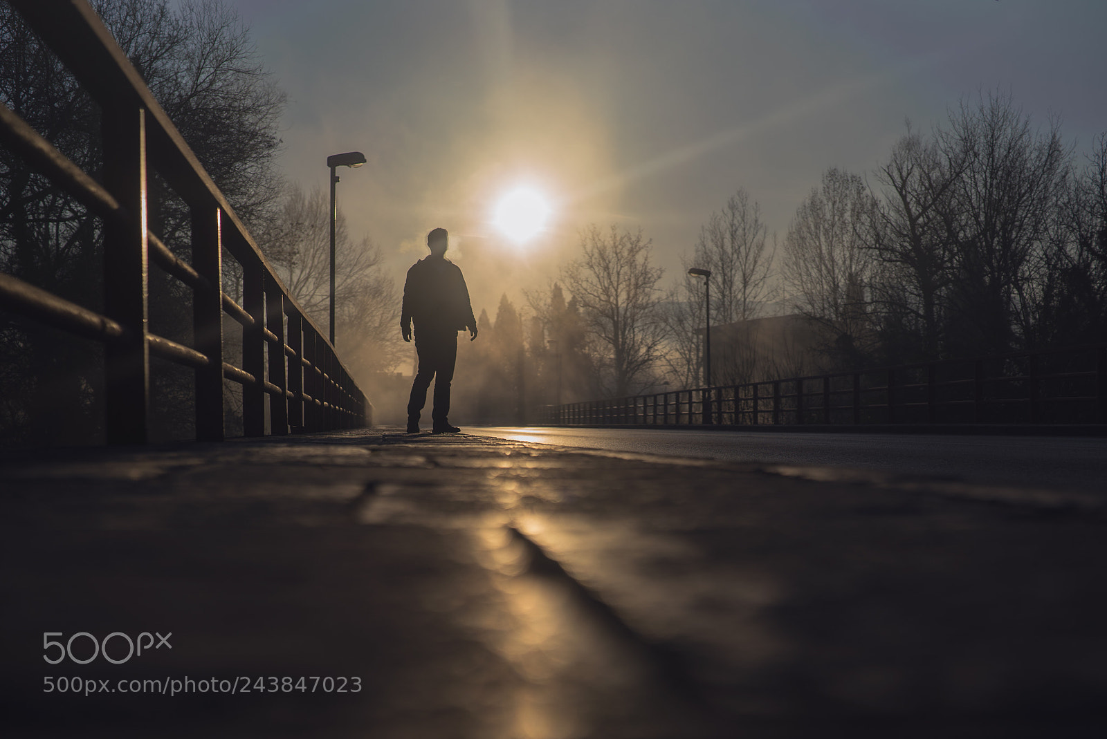 Sony a7S II sample photo. The bridge photography