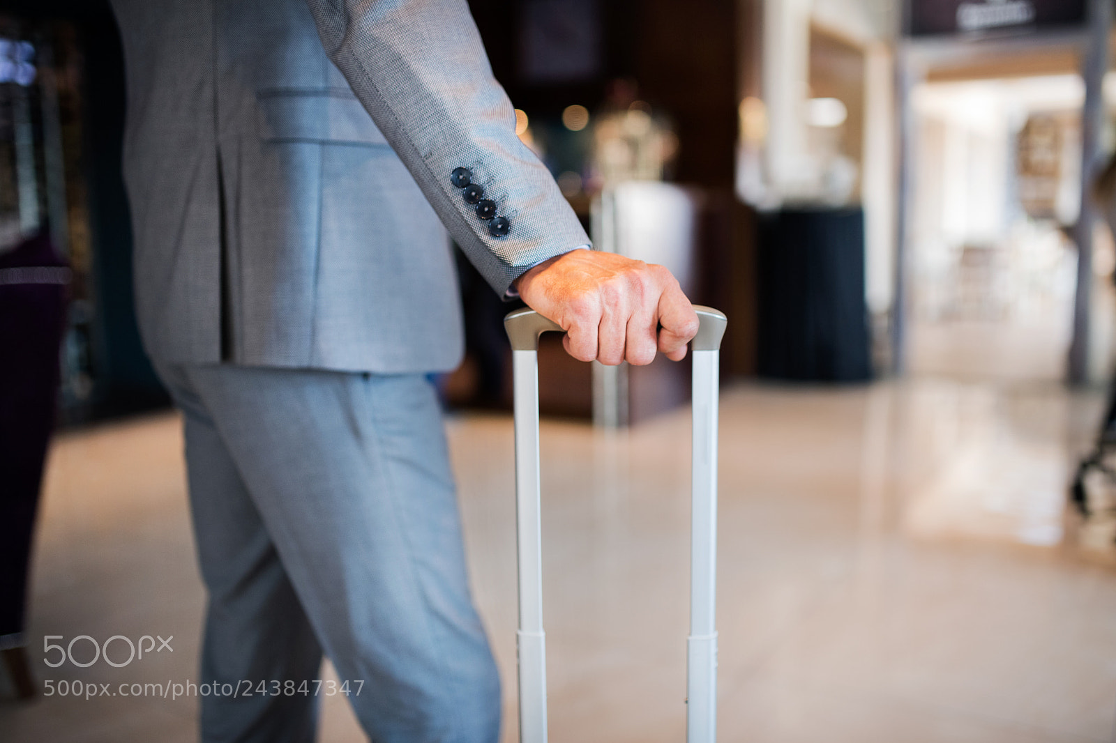 Nikon D5 sample photo. Businessman with suitcase in photography