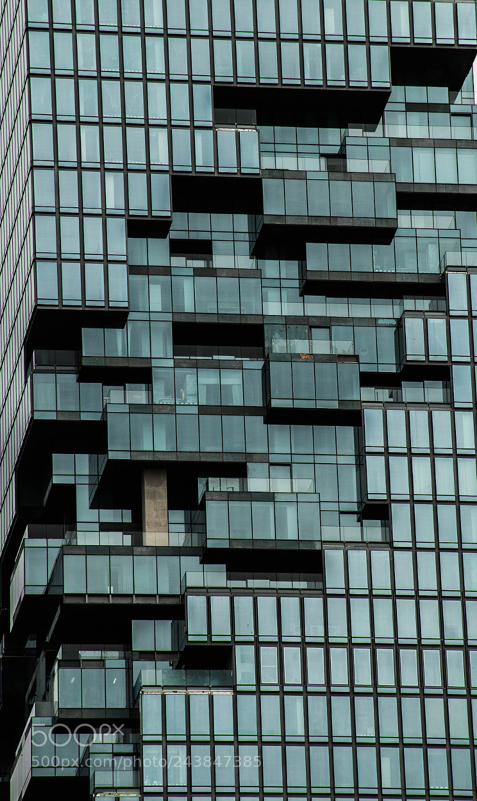 Nikon D5500 sample photo. Pixel photography