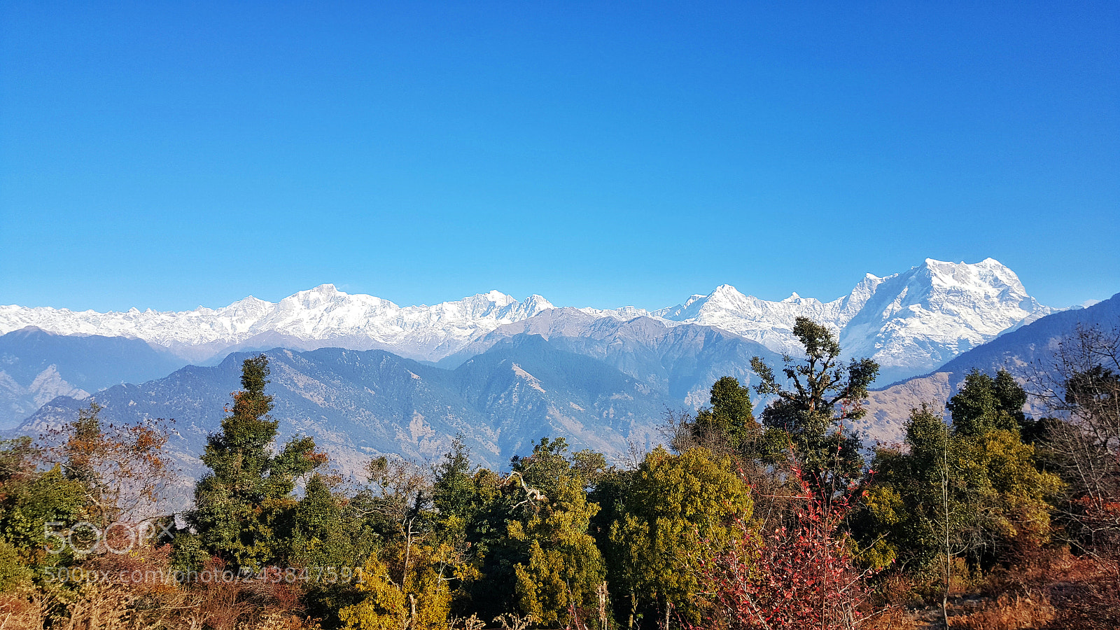 Samsung Galaxy Note5 sample photo. Untitled photography