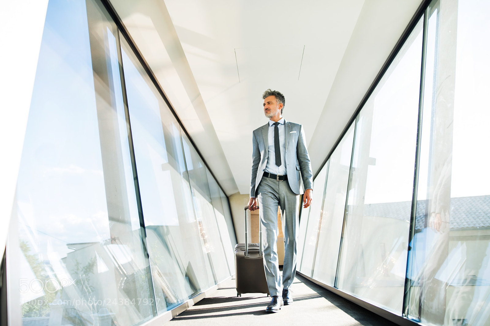 Nikon D5 sample photo. Mature businessman with suitcase photography