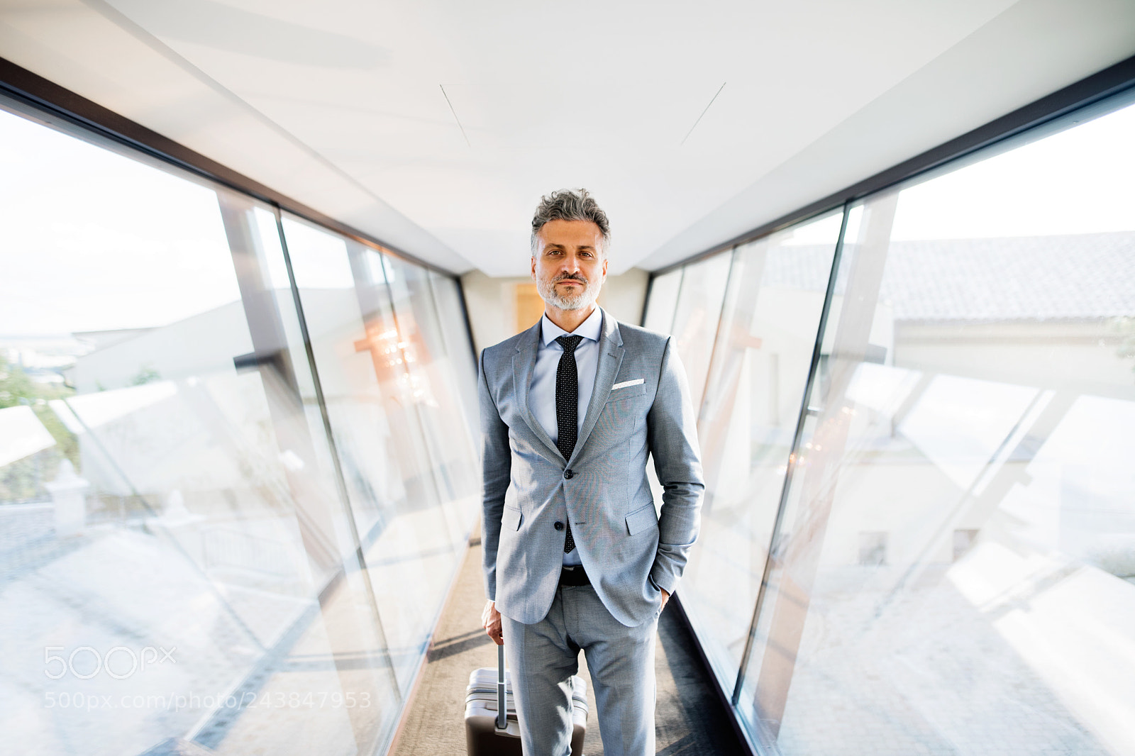 Nikon D5 sample photo. Mature businessman with suitcase photography