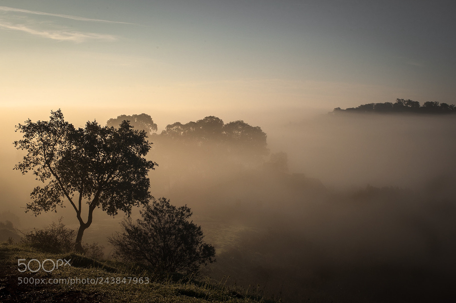 Nikon D700 sample photo. A misty morning photography