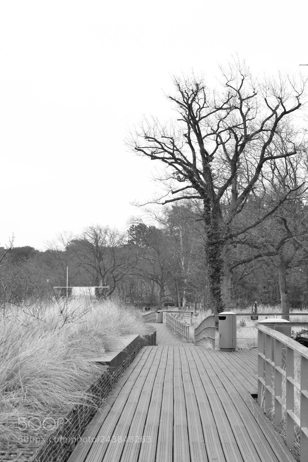 Nikon D3100 sample photo. Dune-way photography
