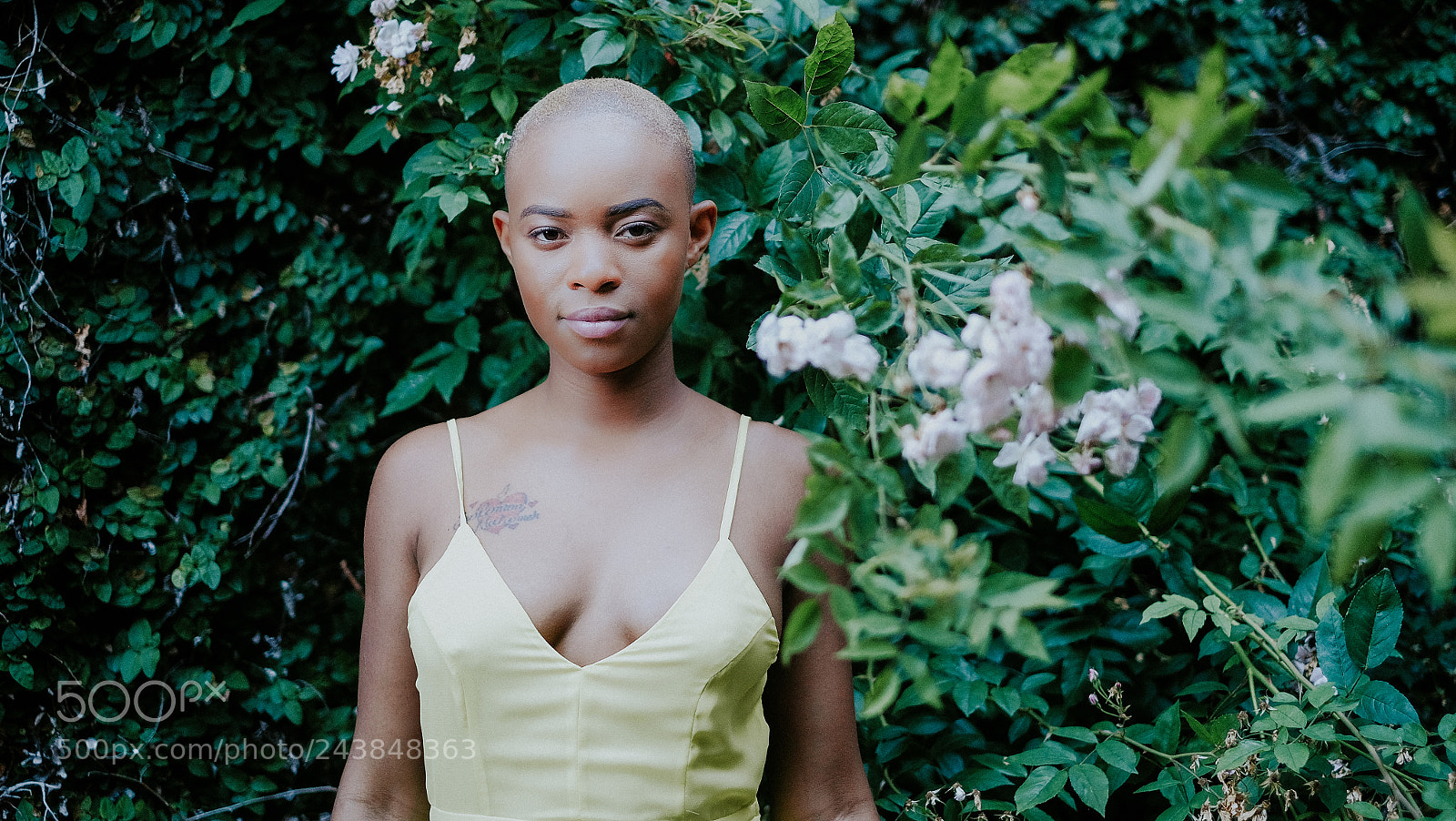 Fujifilm X-T1 sample photo. Untitled photography