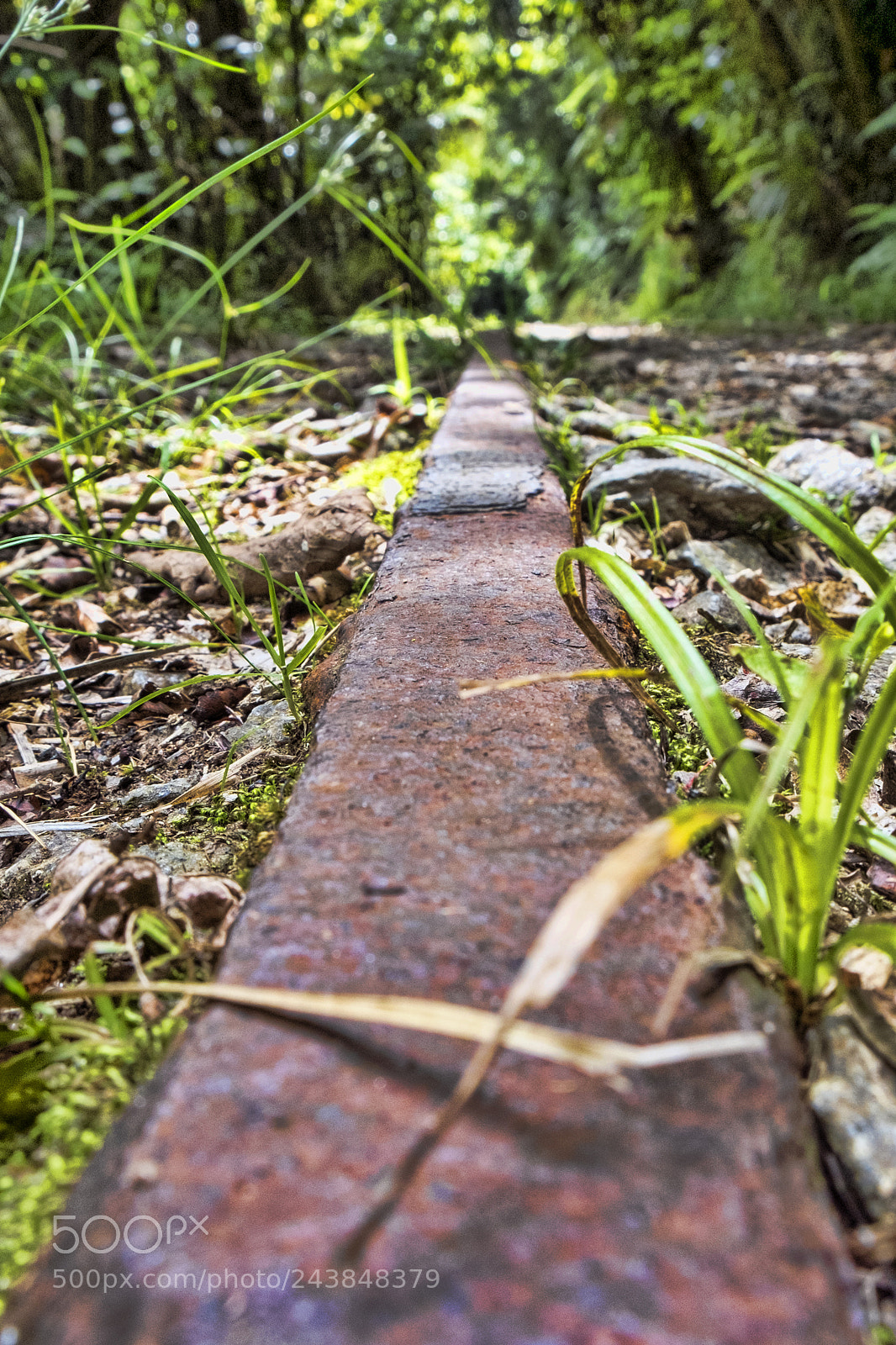 Fujifilm X-Pro1 sample photo. Rail photography