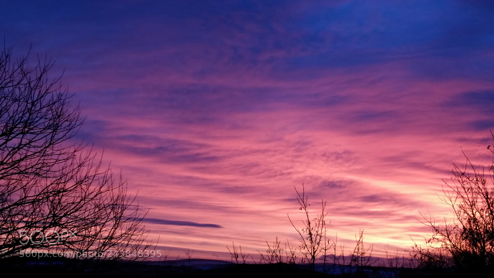 Samsung Galaxy S5 sample photo. A new morning photography