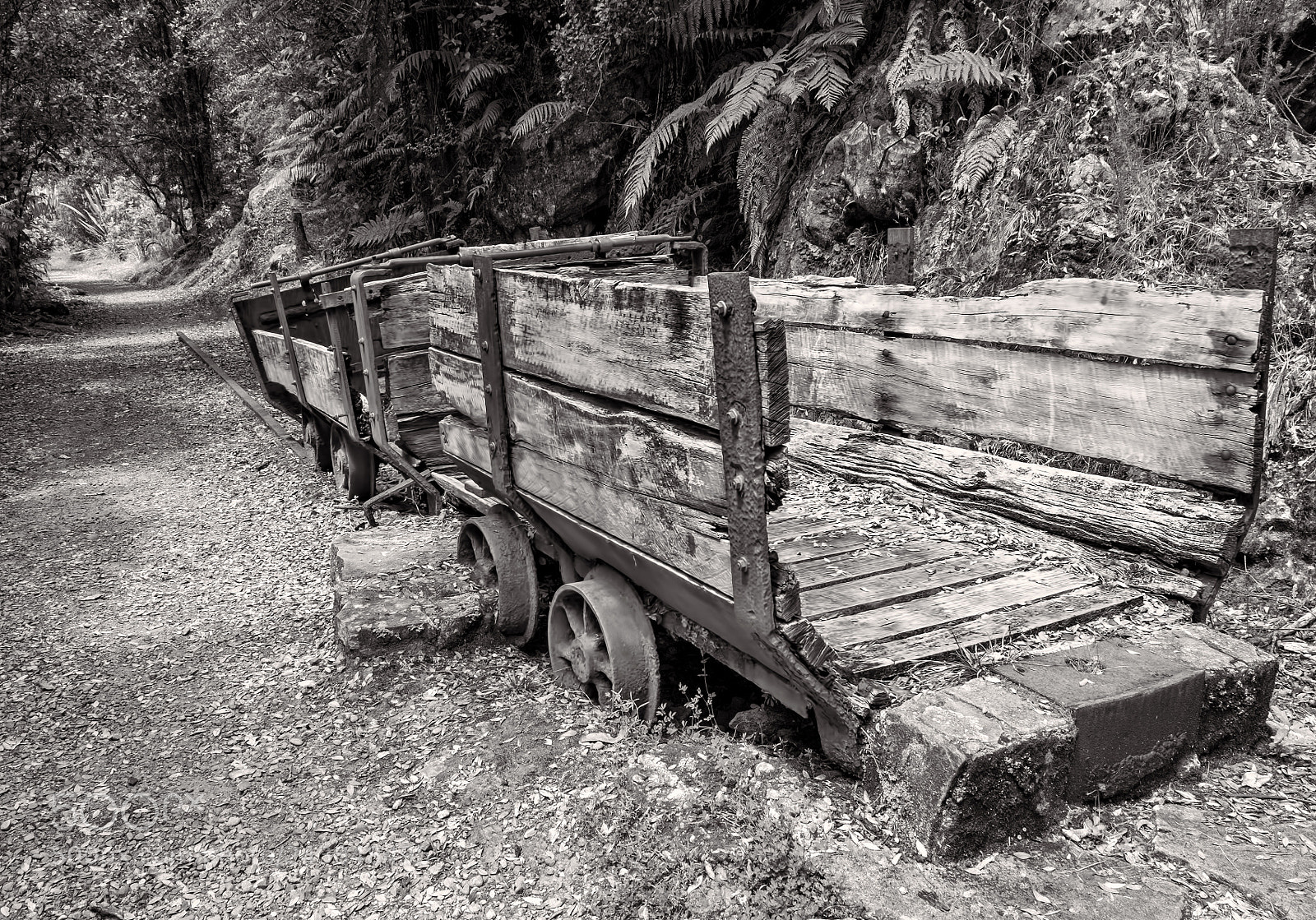 Fujifilm X-Pro1 sample photo. B/w wagon photography