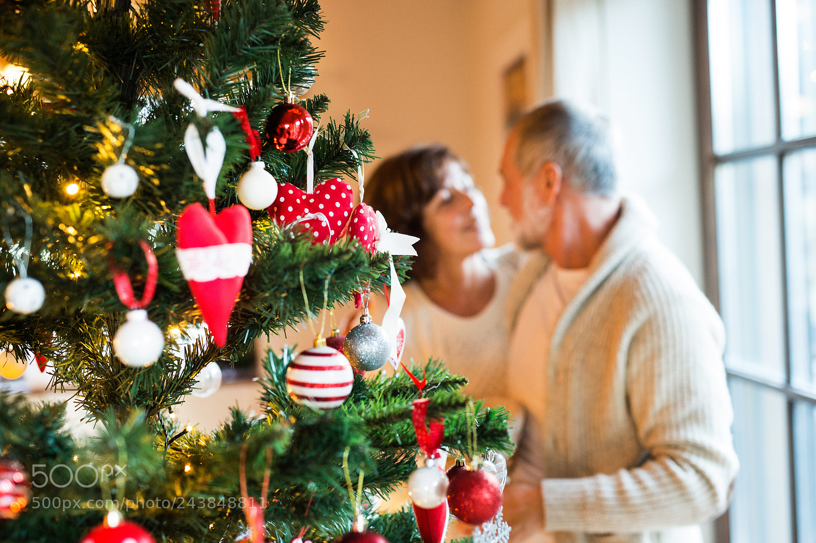 Nikon D4S sample photo. Senior couple decorating christmas photography