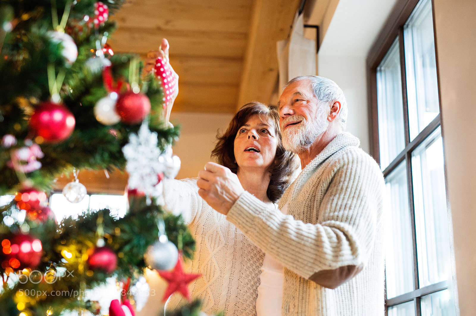 Nikon D4S sample photo. Senior couple decorating christmas photography