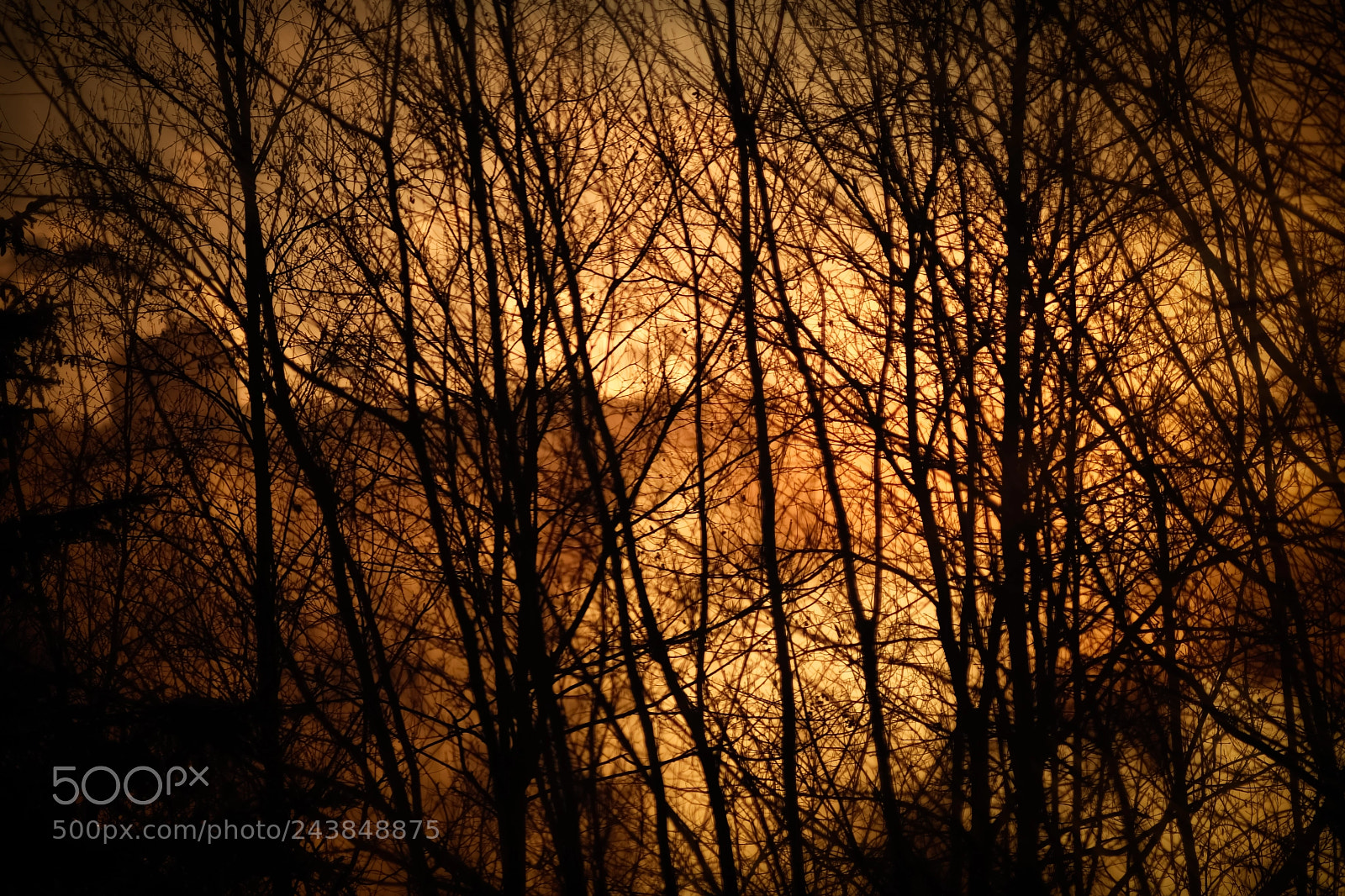Fujifilm X-E3 sample photo. Frosty sunrise photography