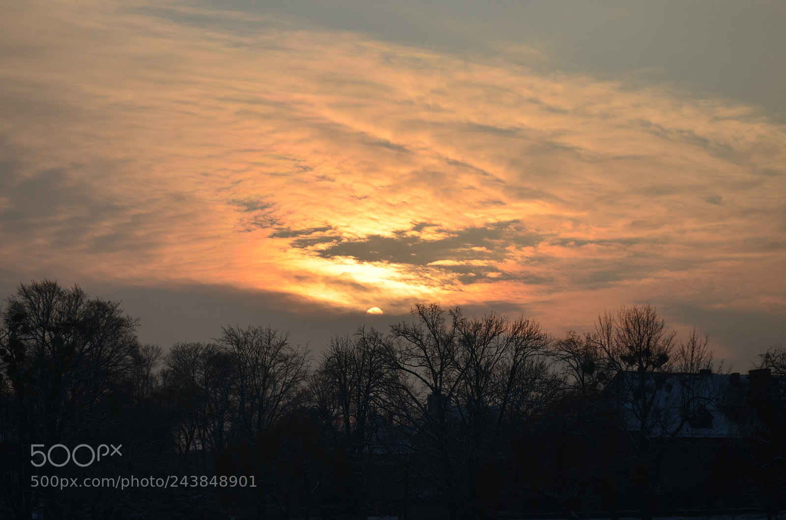 Nikon D5100 sample photo. 288 photography