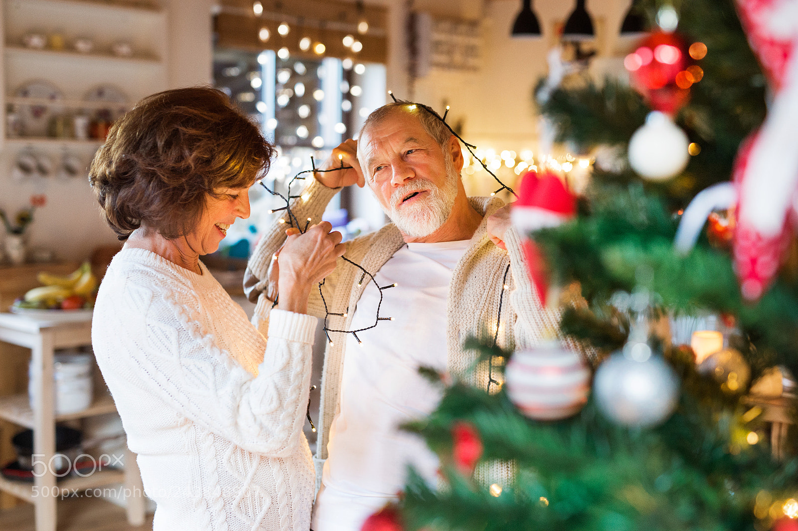 Nikon D4S sample photo. Senior couple at home photography