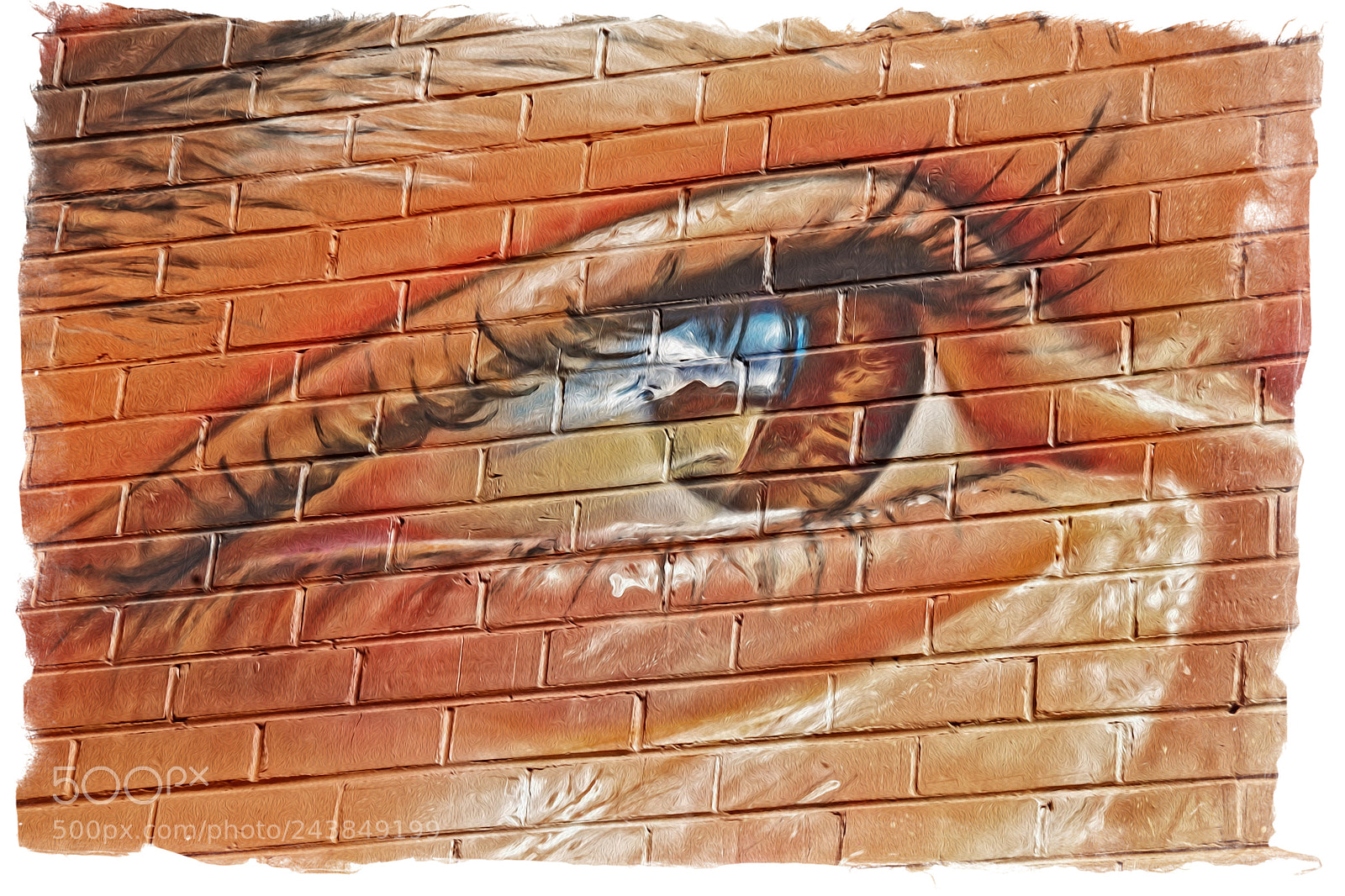 Pentax K-S2 sample photo. Aboriginal eye photography