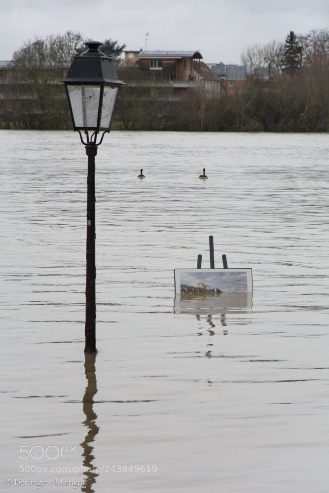 Nikon D7100 sample photo. Poissy - flood 2018 photography