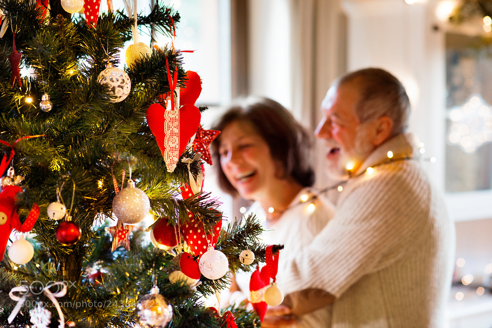 Nikon D800 sample photo. Senior couple looking at photography