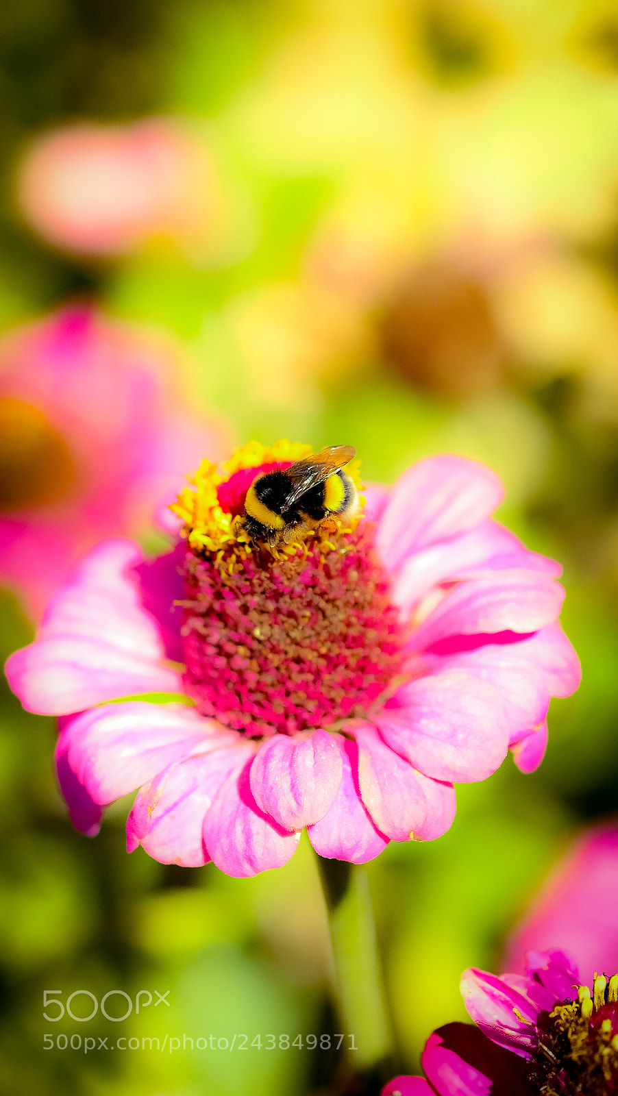 Fujifilm X-T20 sample photo. The art of nature photography