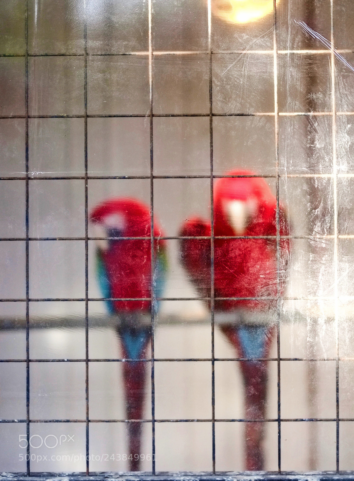 Fujifilm X-Pro1 sample photo. At the zoo photography