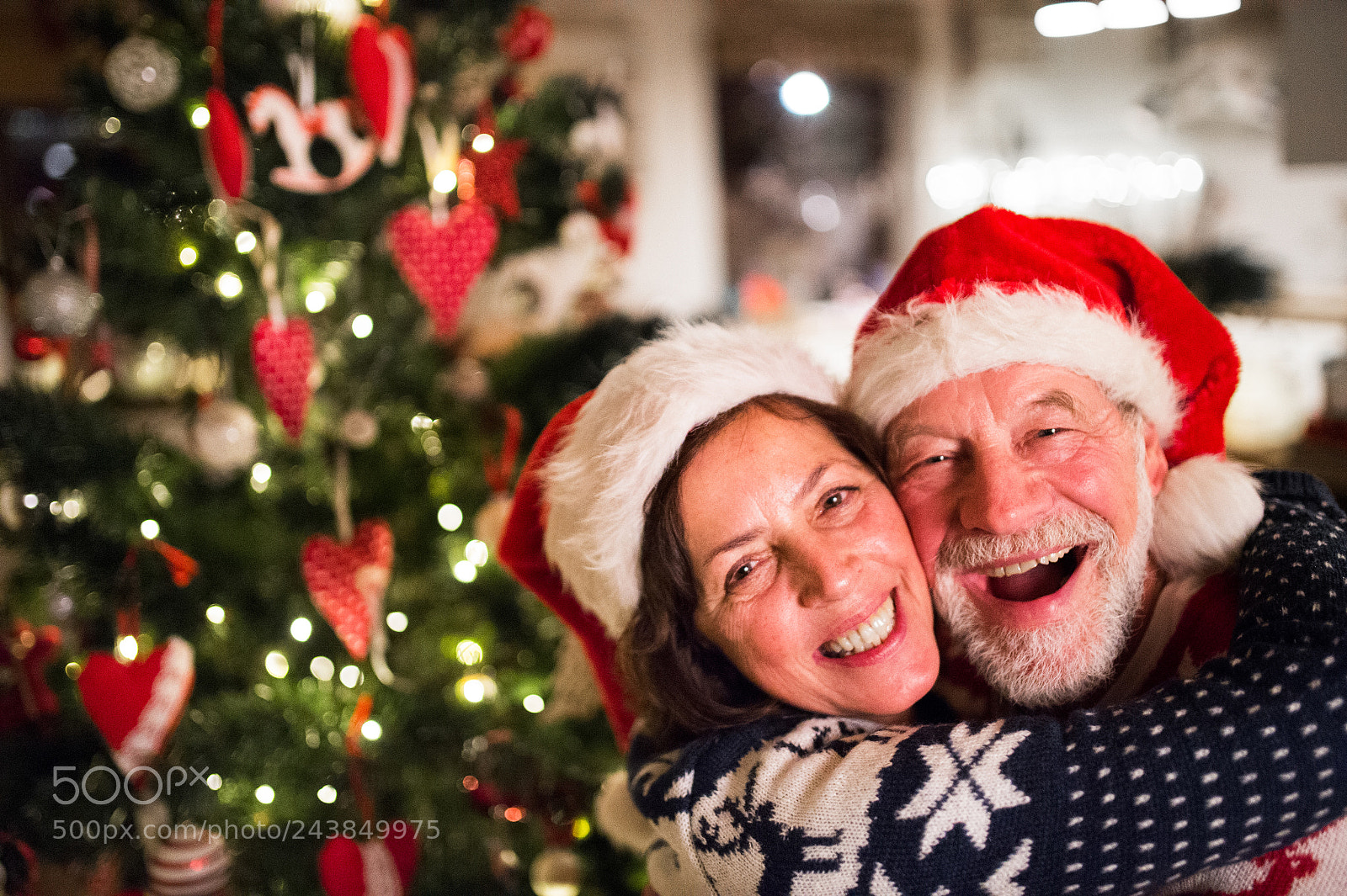 Nikon D4S sample photo. Senior couple with santa photography