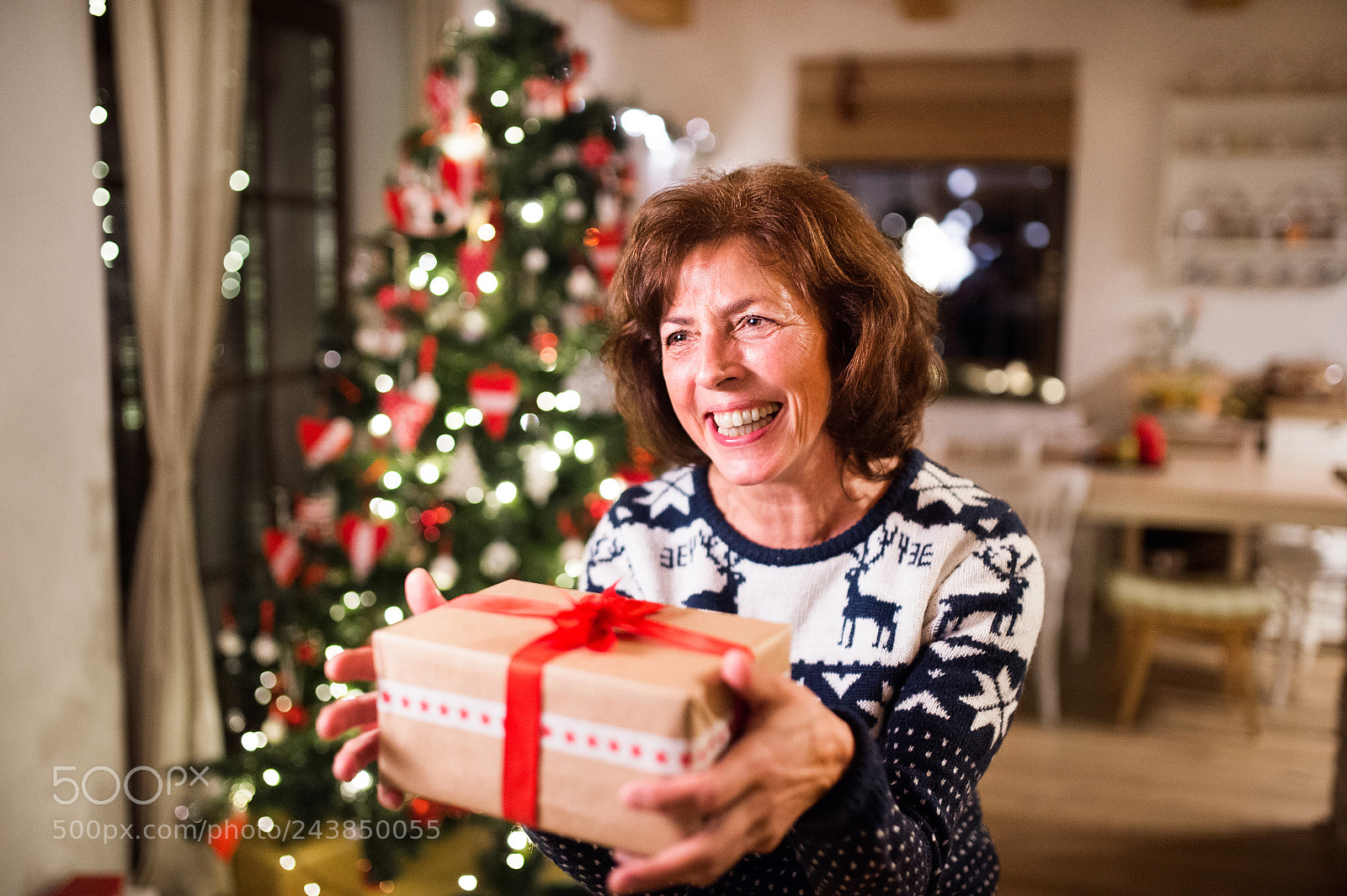Nikon D4S sample photo. Senior woman in front photography