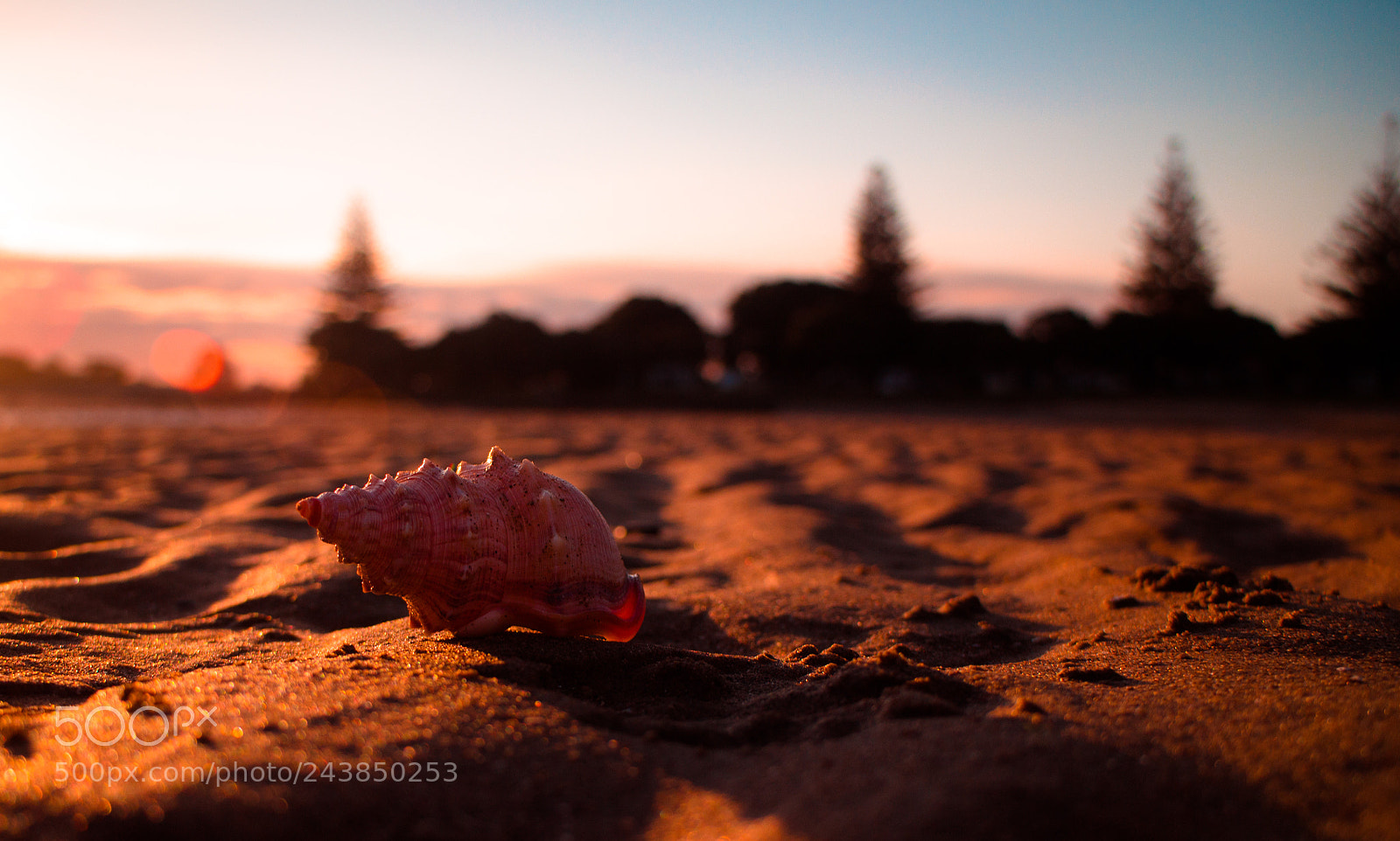 Canon EOS M sample photo. Hermit camper photography