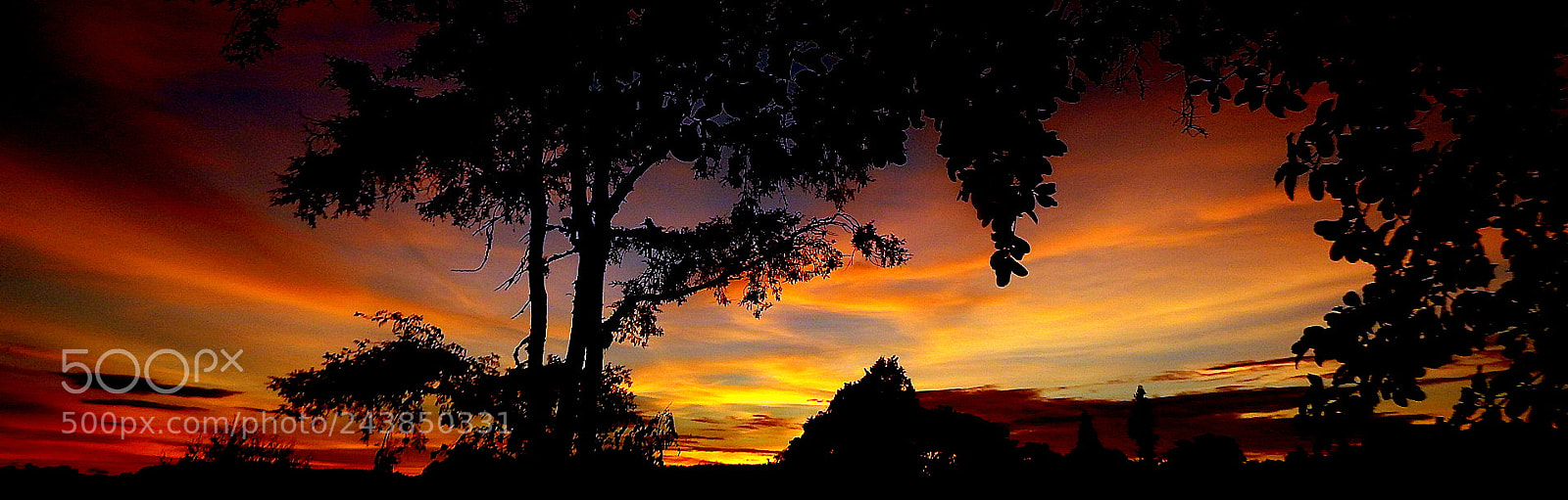 Fujifilm FinePix SL1000 sample photo. Beauty in this morning ... photography