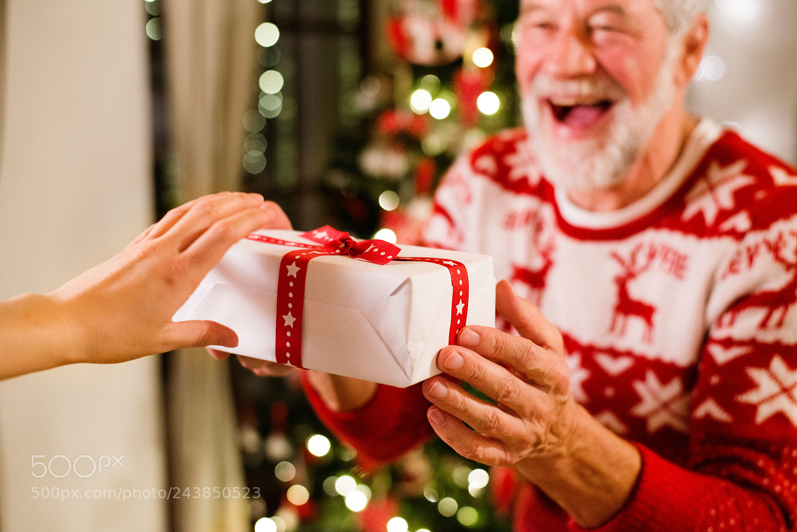 Nikon D800 sample photo. Senior man in front photography