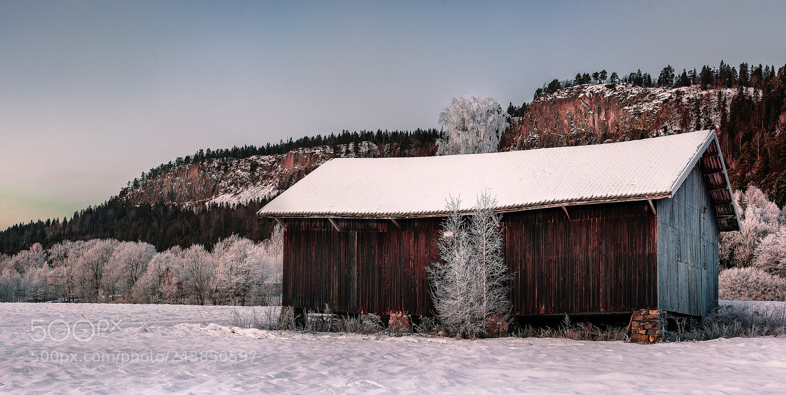 Canon EOS 5DS R sample photo. Untitled photography