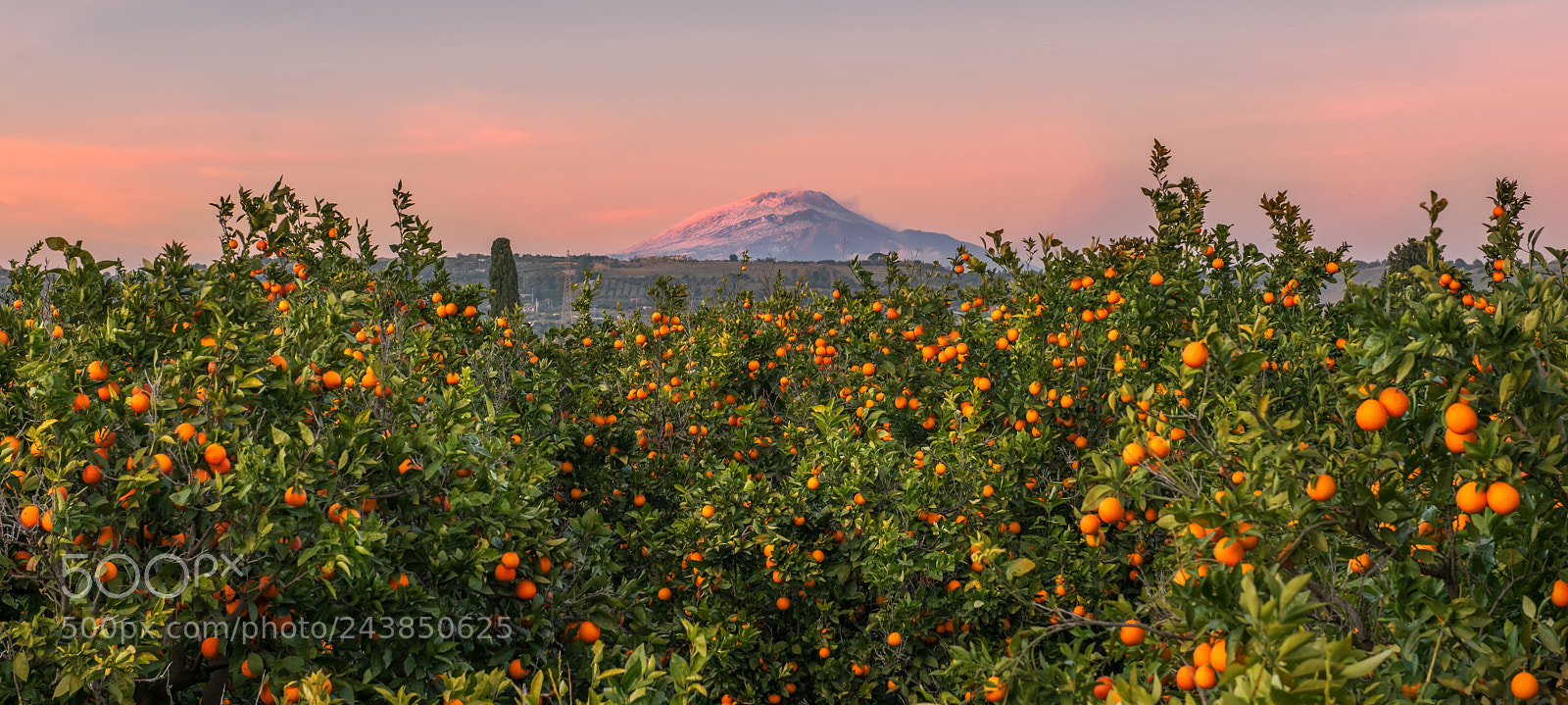 Nikon D600 sample photo. Sicilia photography