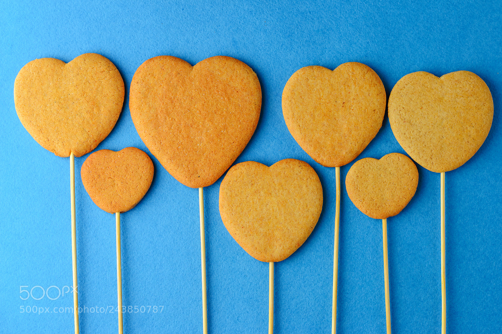 Nikon D3100 sample photo. Ginger biscuits on a photography