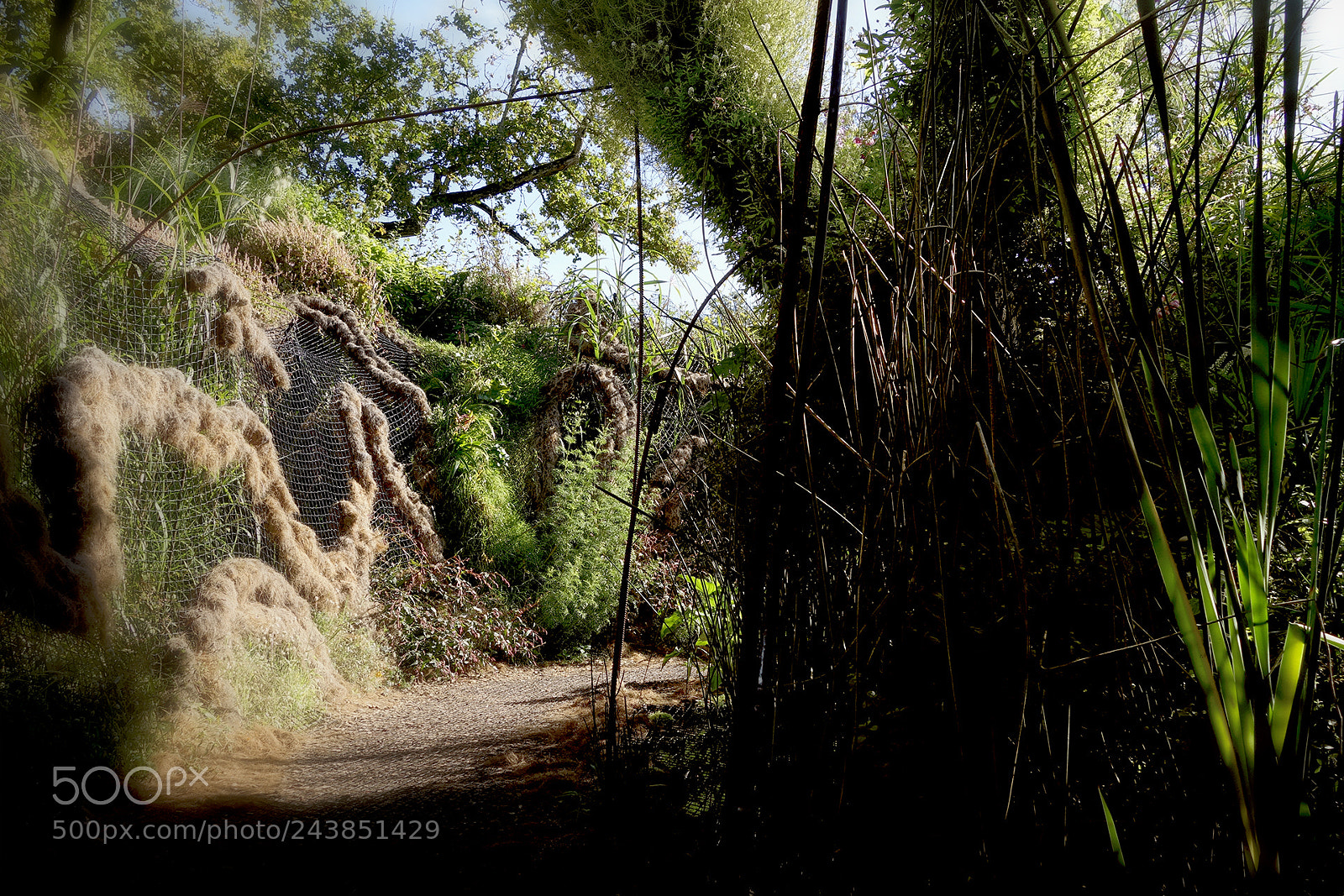 Sony Cyber-shot DSC-RX100 II sample photo. Chaumont photography
