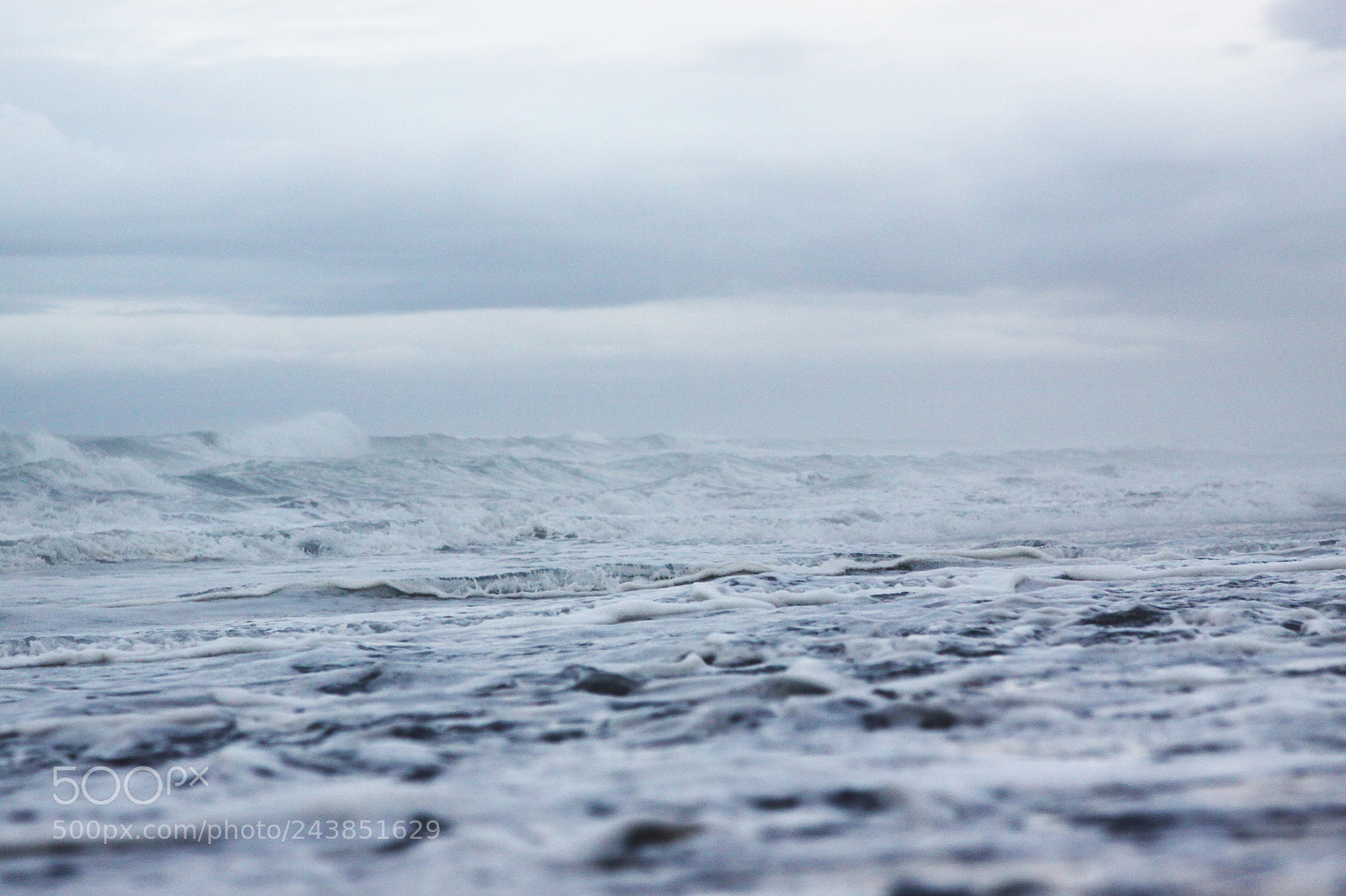 Canon EOS 50D sample photo. Ross beach photography