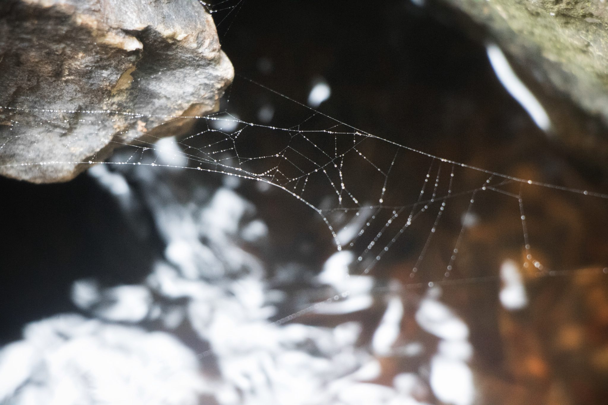 v2?sig=bb0a05e8b901bf3798023c9a3076ff0f567c727d0405d0a6b885d23b9dfa888c