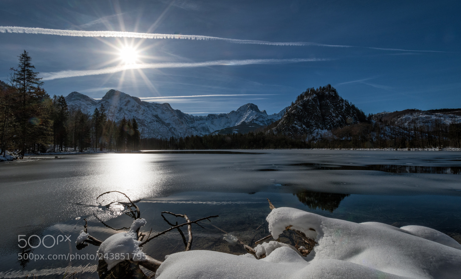 Nikon D7500 sample photo. Gegenlicht photography