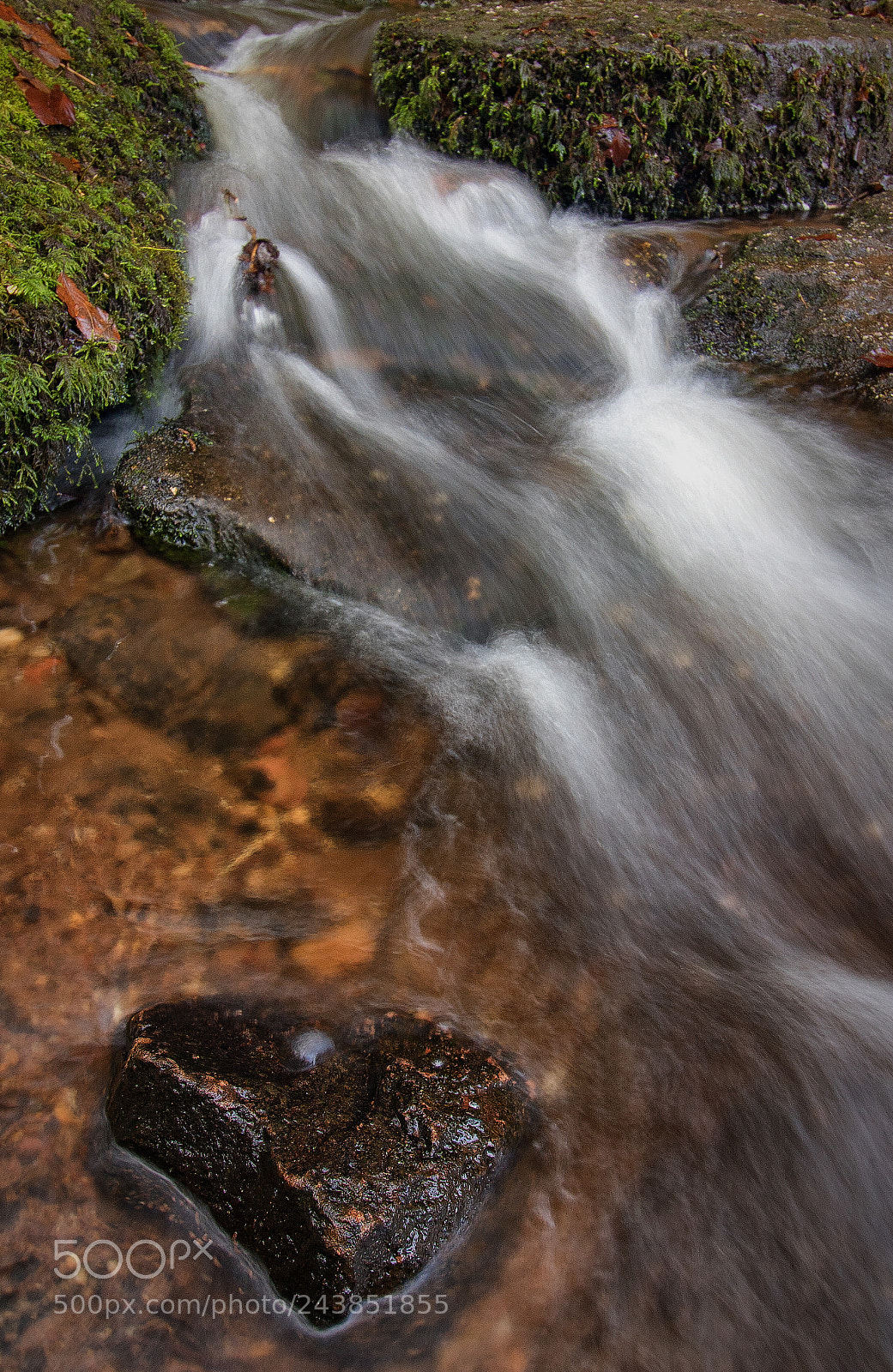 Canon EOS 7D Mark II sample photo. Harmony...... photography