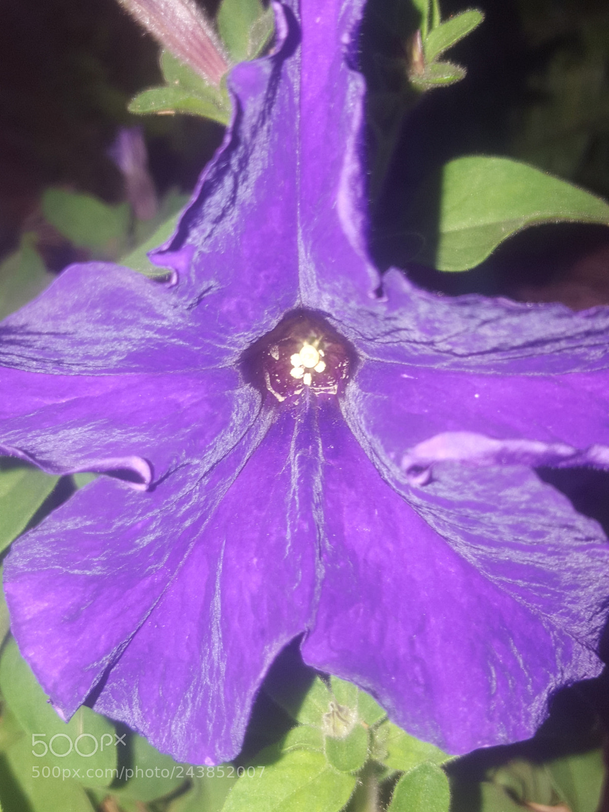 Samsung Galaxy S6 sample photo. Untitled photography