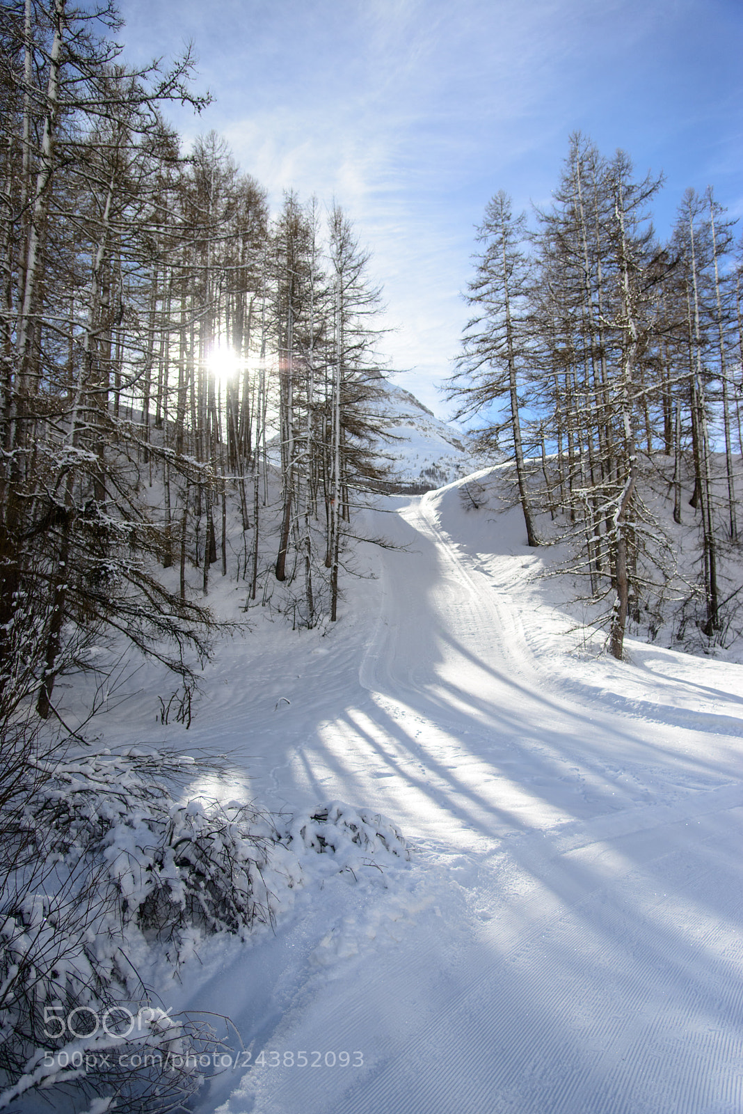 Nikon D800 sample photo. Downhill photography