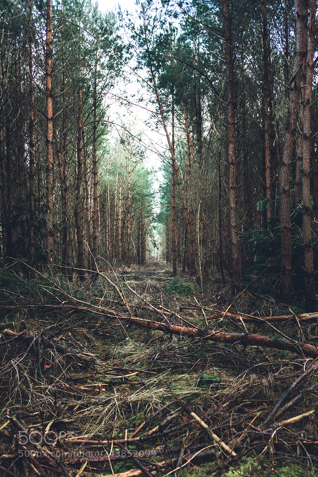 Nikon D7200 sample photo. Chaos #1 photography