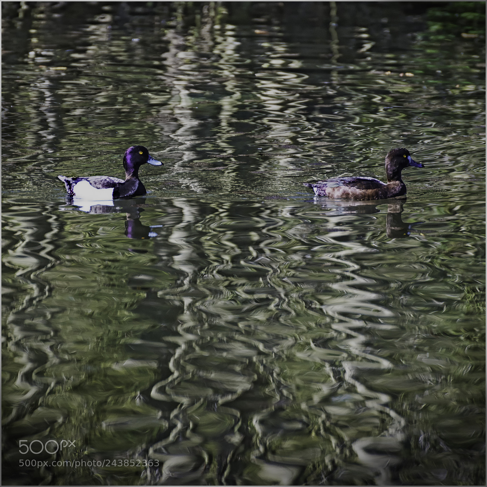 Nikon D610 sample photo. En couple. photography