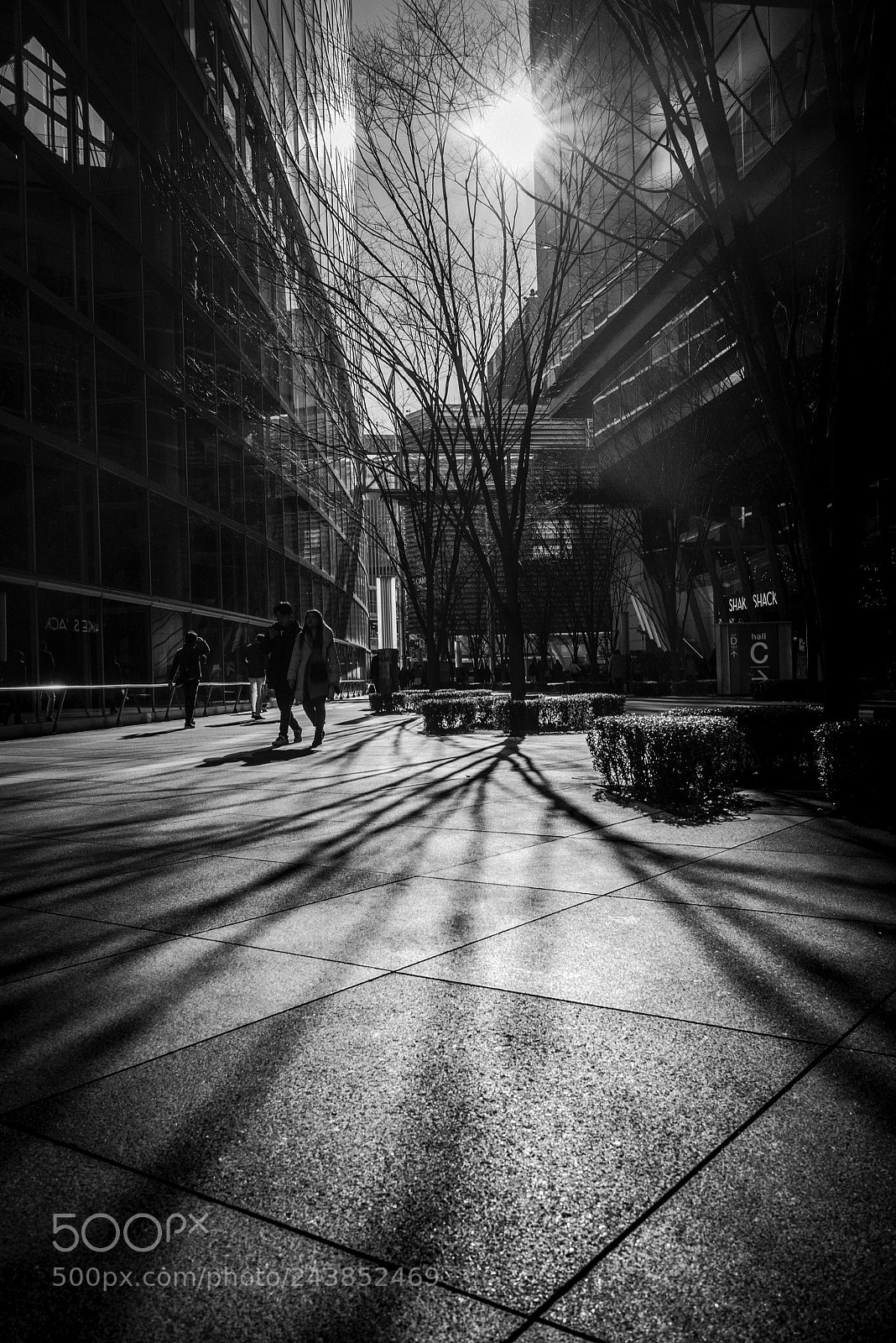 Leica M Monochrom (Typ 246) sample photo. Deep shadows photography