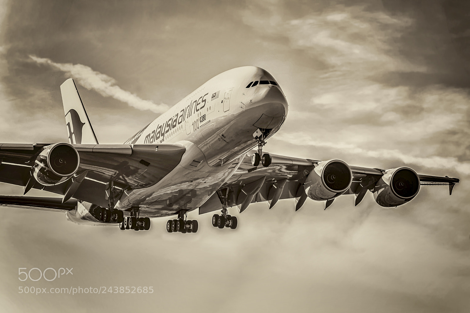 Nikon D800 sample photo. Big birdy a380 photography